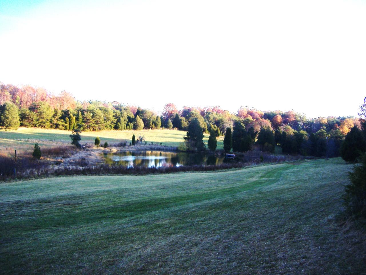 1340 Hunters Spur Road Moneta, VA 24121 - Photo 6 of 6 Valley View of Land & Pond