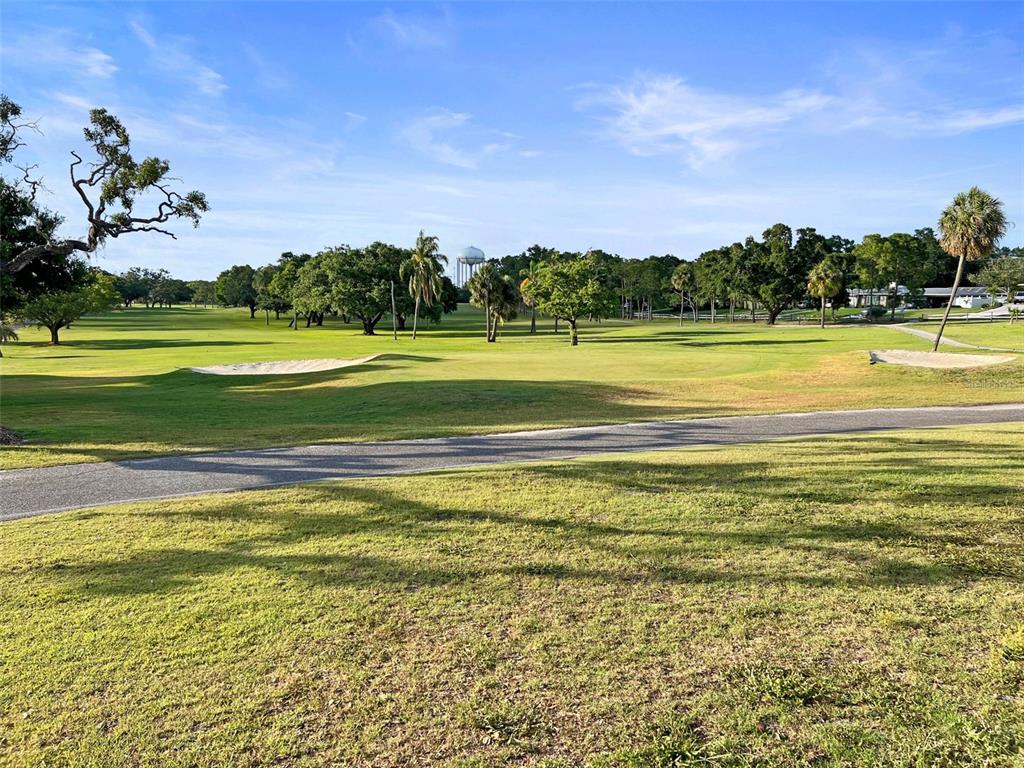 2363 Hanover Drive Dunedin, FL 34698 - Photo 78 of 81