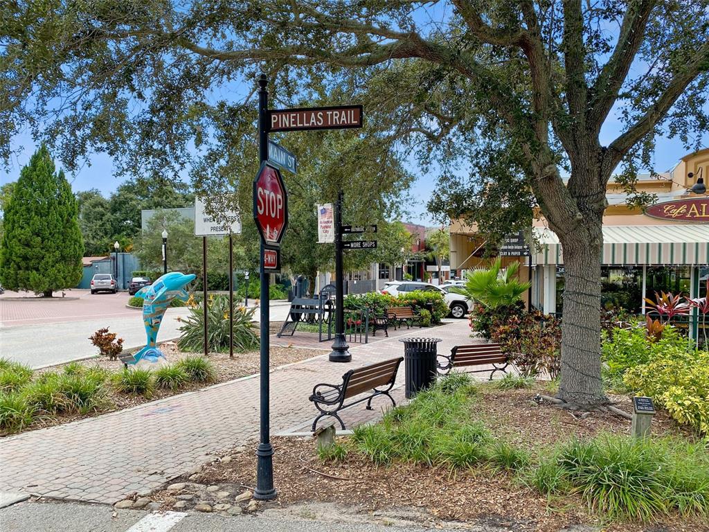 2363 Hanover Drive Dunedin, FL 34698 - Photo 81 of 81