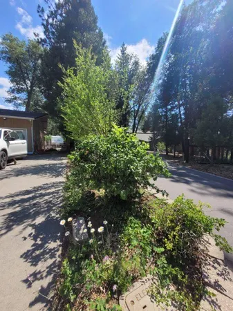 $319,876 | 37023 Park Avenue, Burney, CA 96013