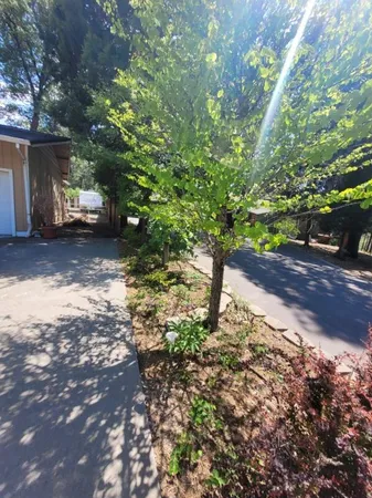 $319,876 | 37023 Park Avenue, Burney, CA 96013