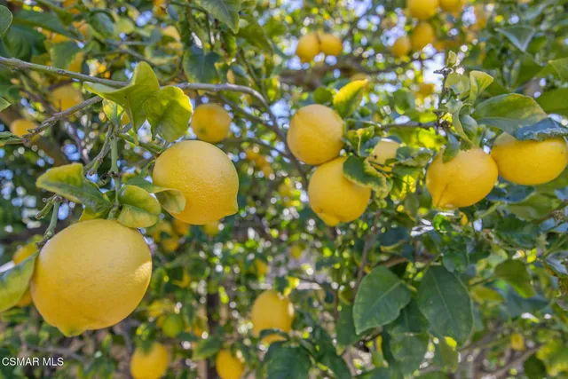 $1,200,000 | 807 Pamela Wood Street, Newbury Park, CA 91320