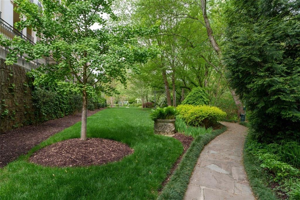 2288 Peachtree Road Northwest, Unit 4 Atlanta, GA 30309 - Photo 41 of 50 a view of a park with large trees