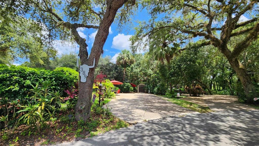 389 Longhorn Drive River Ranch, FL 33867 - Photo 2 of 11 a view of outdoor space with deck and tree