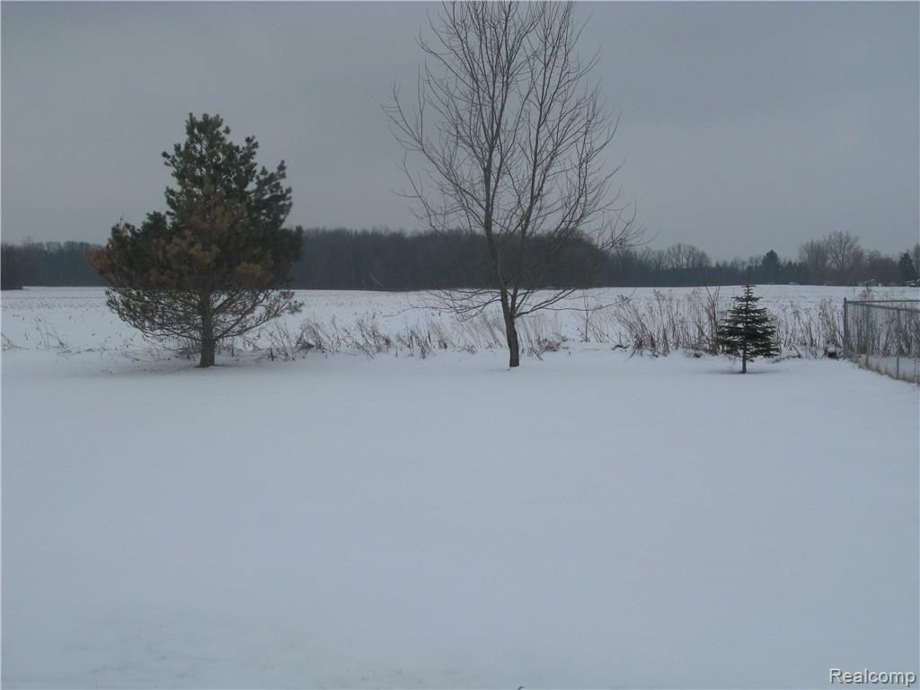 Lots of wildlife to watch