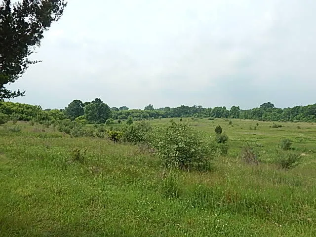 $699,000 | 2855 Oakley Road, Stockbridge, MI 49285