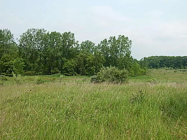 $699,000 | 2855 Oakley Road, Stockbridge, MI 49285