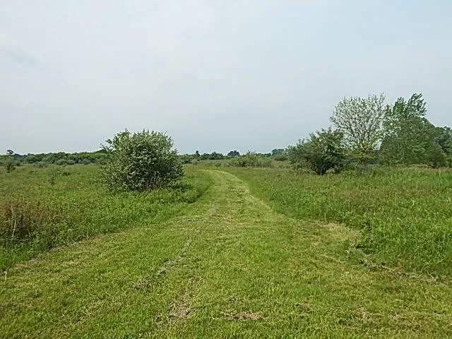 $699,000 | 2855 Oakley Road, Stockbridge, MI 49285