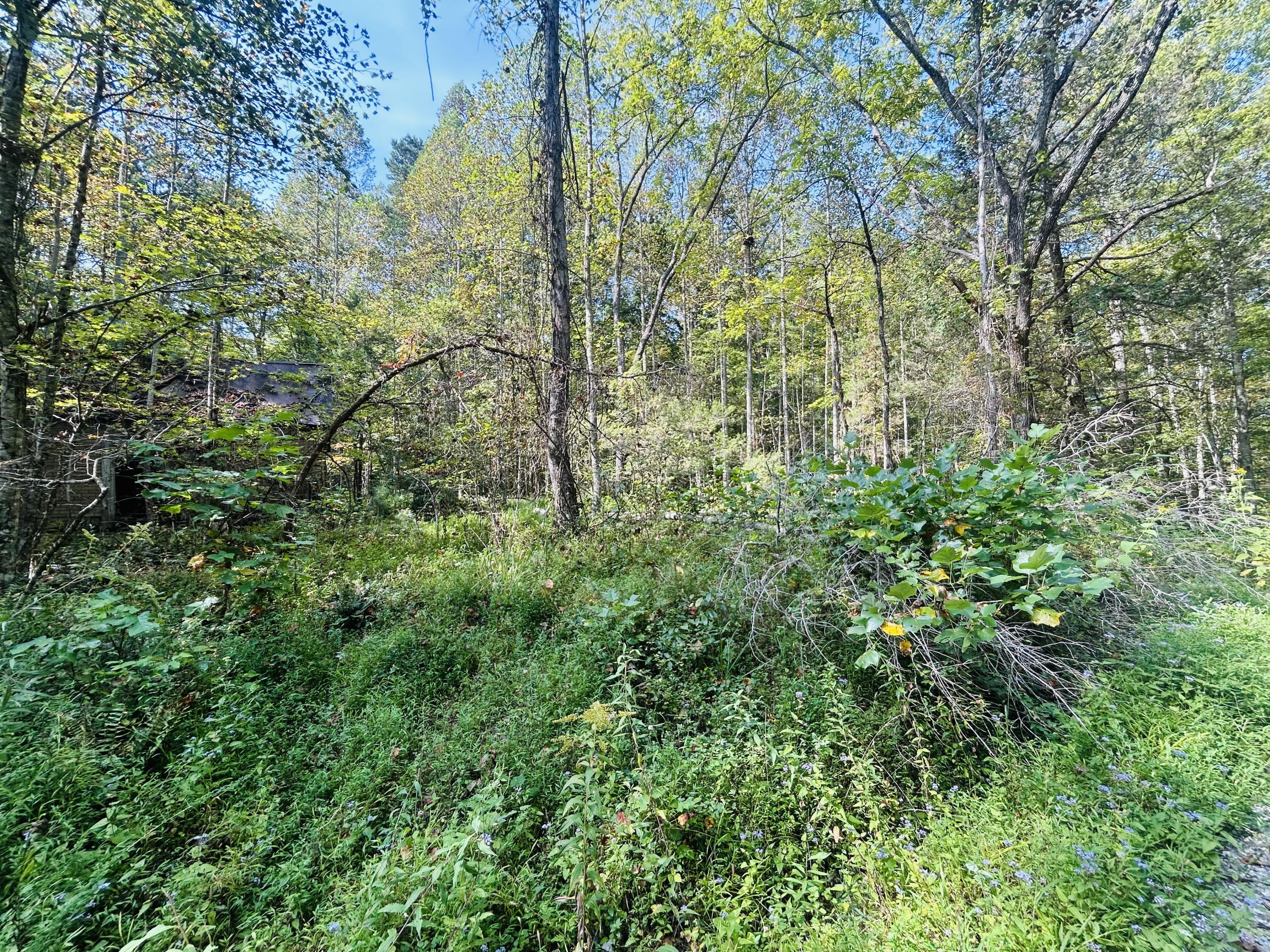 9999 Bear Ridge Road Somerset, KY 42501 - Photo 7 of 12 IMG_0676