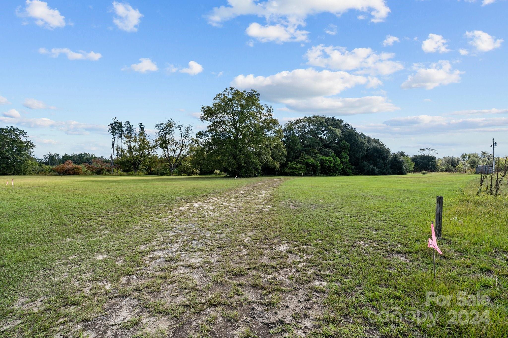 388 Crawford Road Ellerbe, NC 28338 - Photo 20 of 36 Gallery Image 20