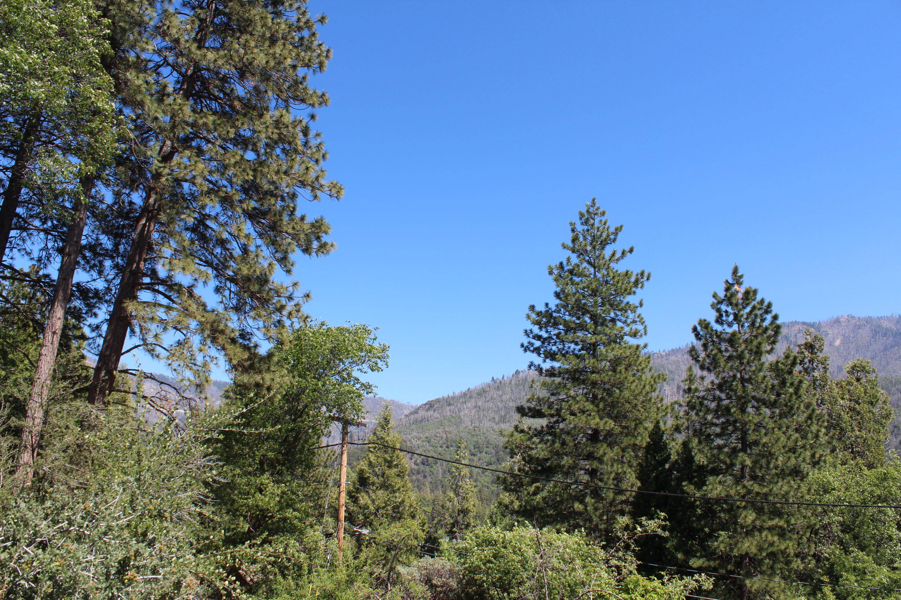 427 Sutherland Drive Springville, CA 93265 - Photo 4 of 55 More views