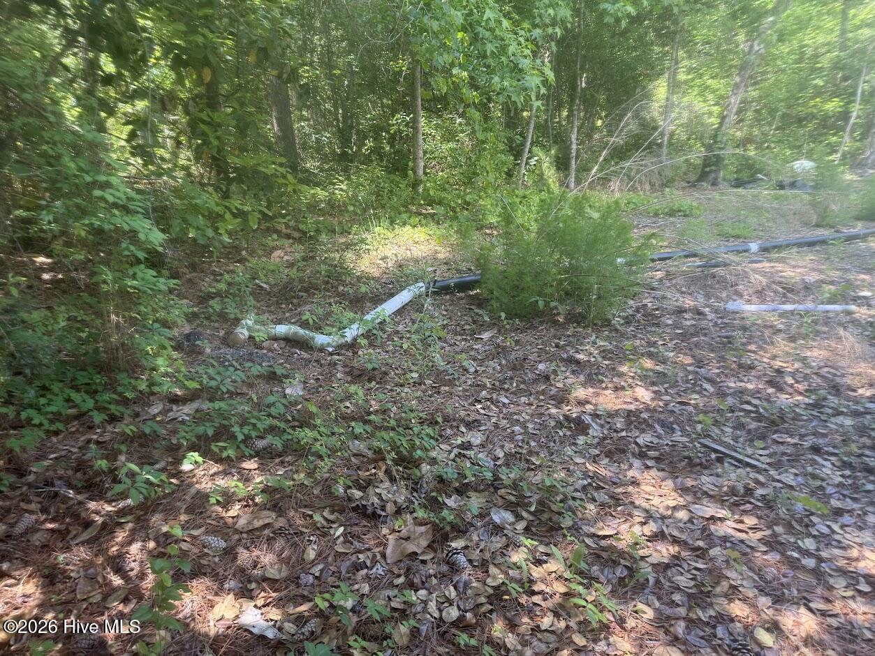 137 Wayne Road Hubert, NC 28539 - Photo 5 of 5 IMG_7878