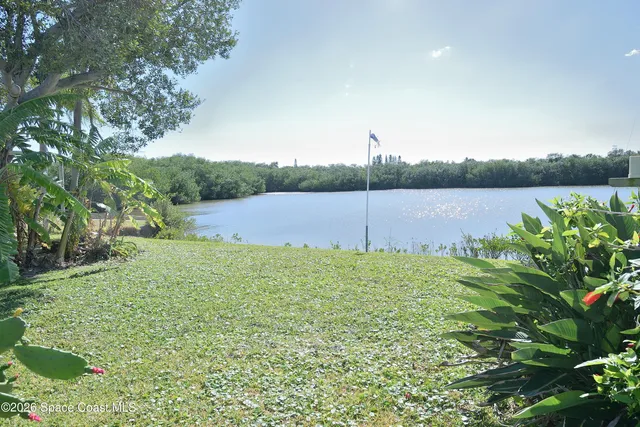 a view of a lake with a yard