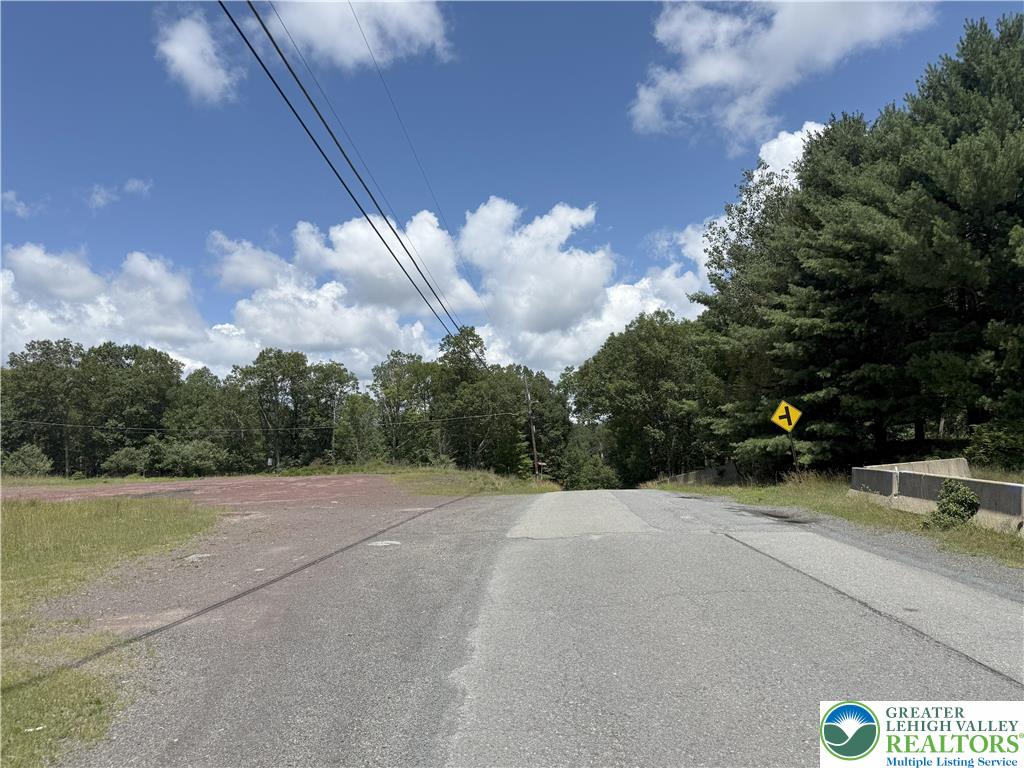 Timber Hill Road Henryville, PA 18332 - Photo 2 of 5