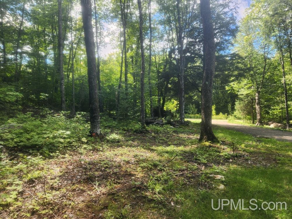 Tbd West Tamarack Lake Road, Unit LOT 5 Watersmeet, MI 49969 - Photo 59 of 66