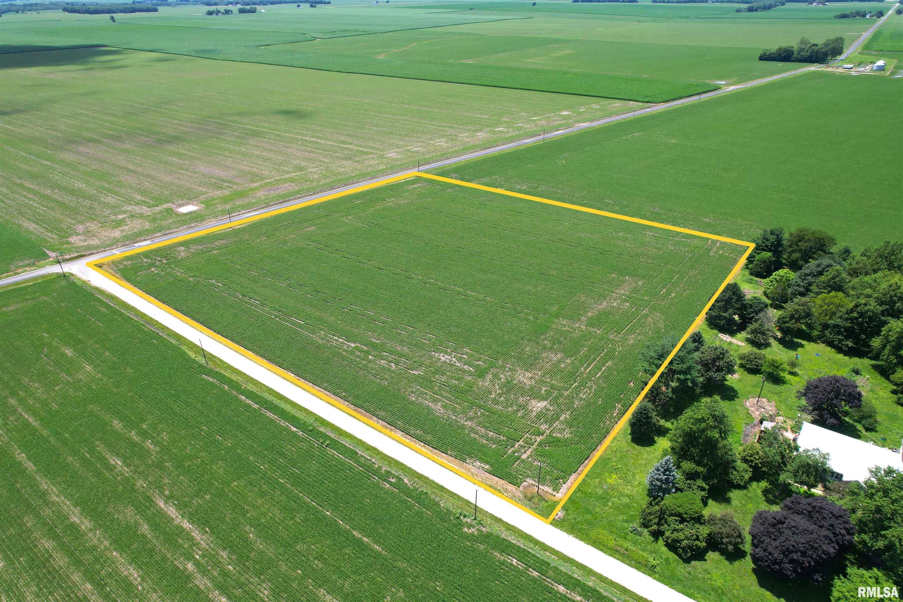Merritt Blacktop Road Jacksonville, IL 62650 - Photo 8 of 14