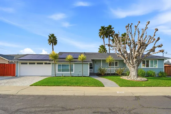a front view of a house with a garden and a tree