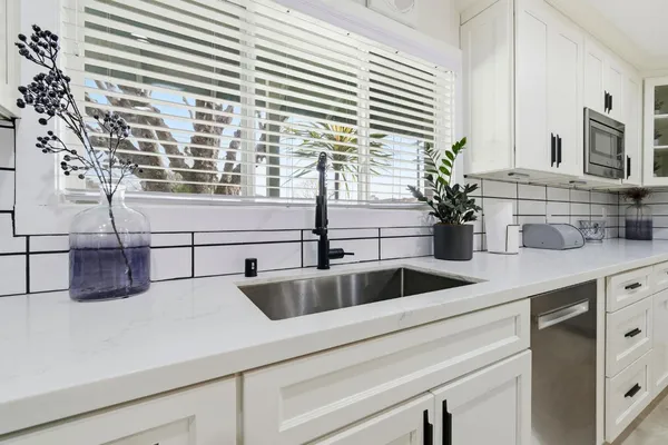 a kitchen with a sink and a potted plant