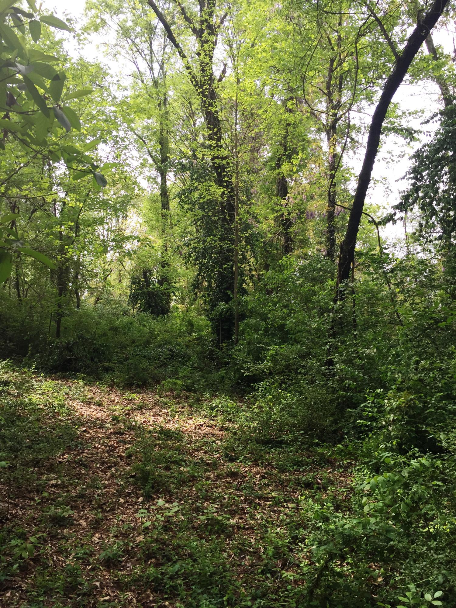 610 North Crest Road Chattanooga, TN 37404 - Photo 2 of 14 601 N. Crest 1