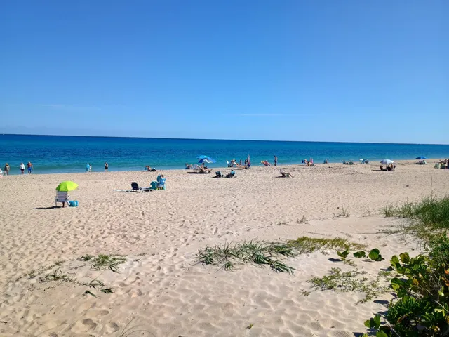 a view of beach and ocean