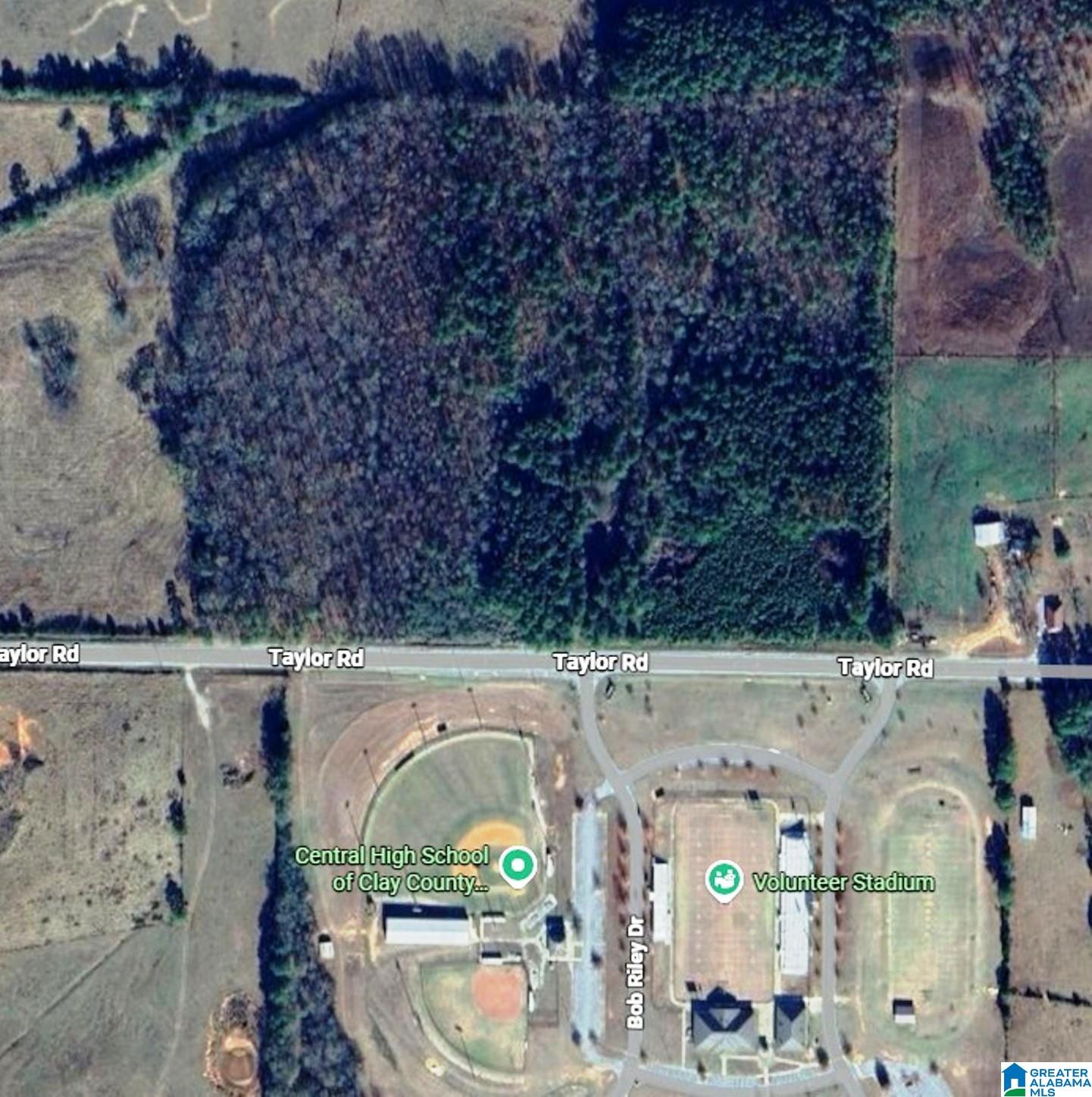 0 Taylor Road, Unit 14 5 ACRES Lineville, AL 36266 - Photo 4 of 4