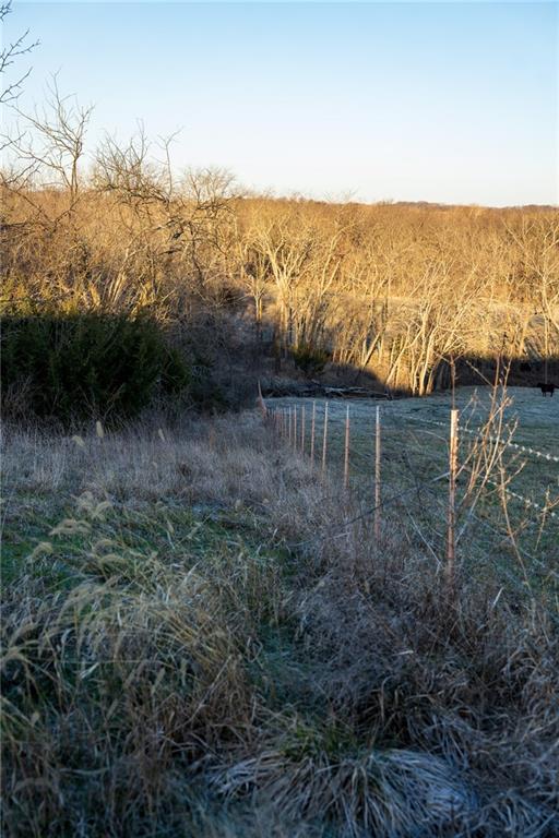 64 Southwest 401st Road Centerview, MO 64019 - Photo 86 of 92