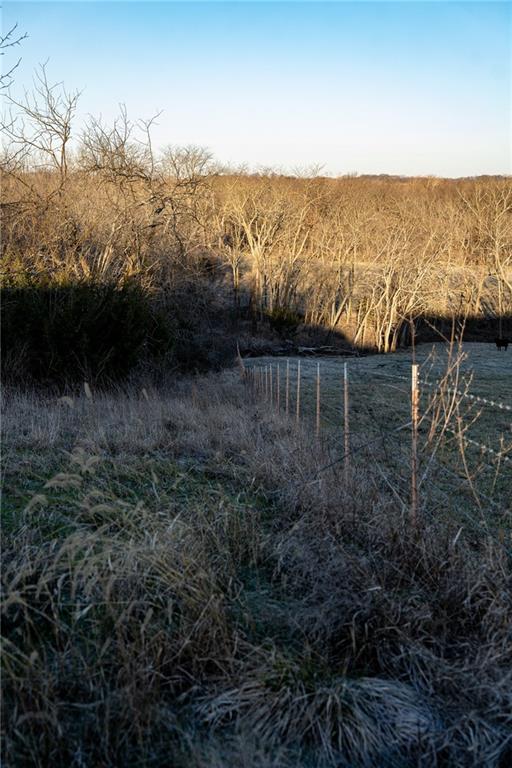 64 Southwest 401st Road Centerview, MO 64019 - Photo 87 of 92