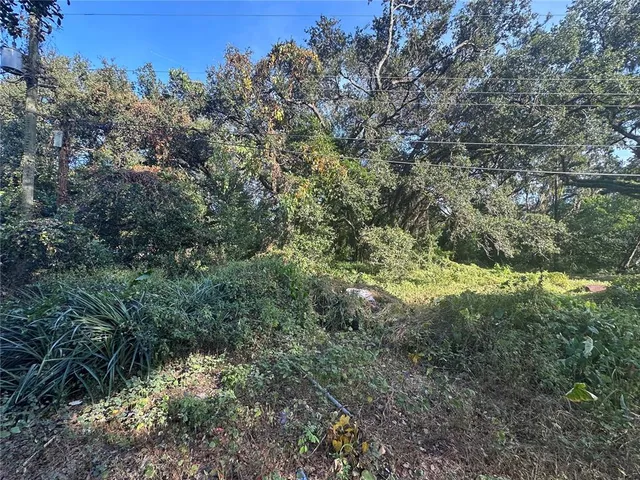 $120,000 | 11911 Leroy Sheppard Road, Thonotosassa, FL 33592