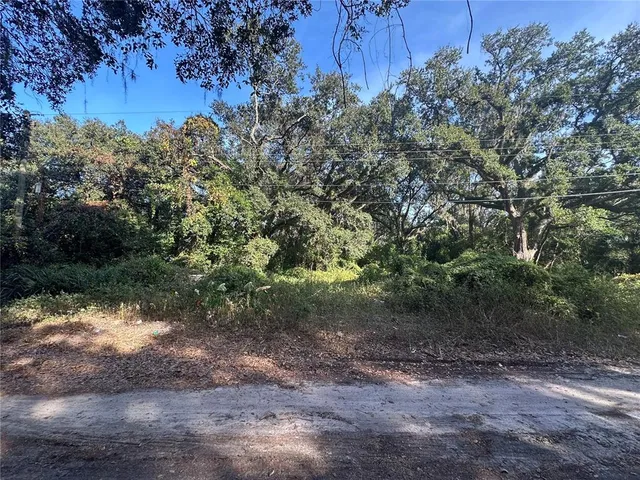 a view of a yard with a tree