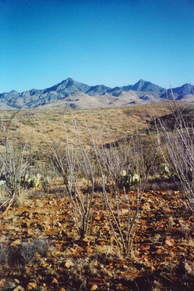 58 Camino Kennedy Rio Rico, AZ 85648 - Photo 3 of 4