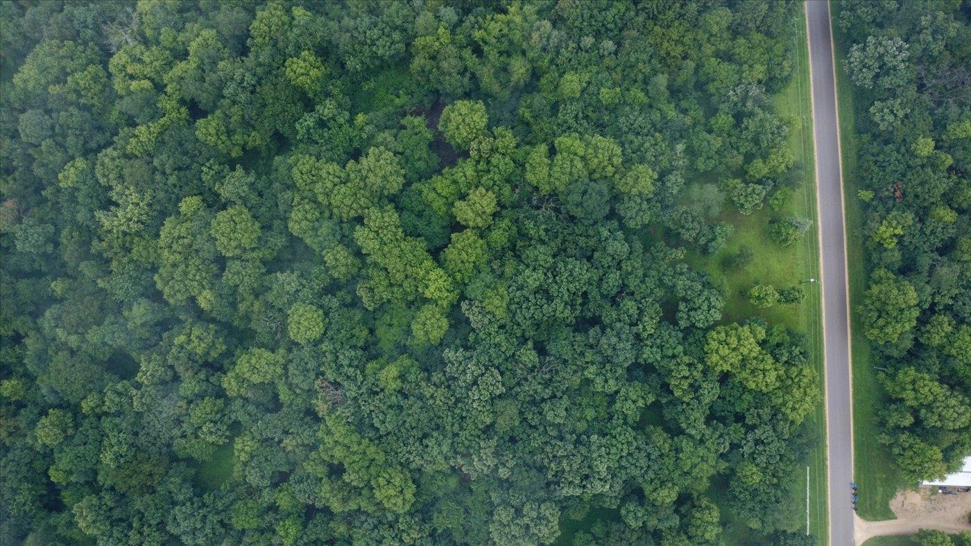 0 Patton Road Dane, WI 53529 - Photo 6 of 14