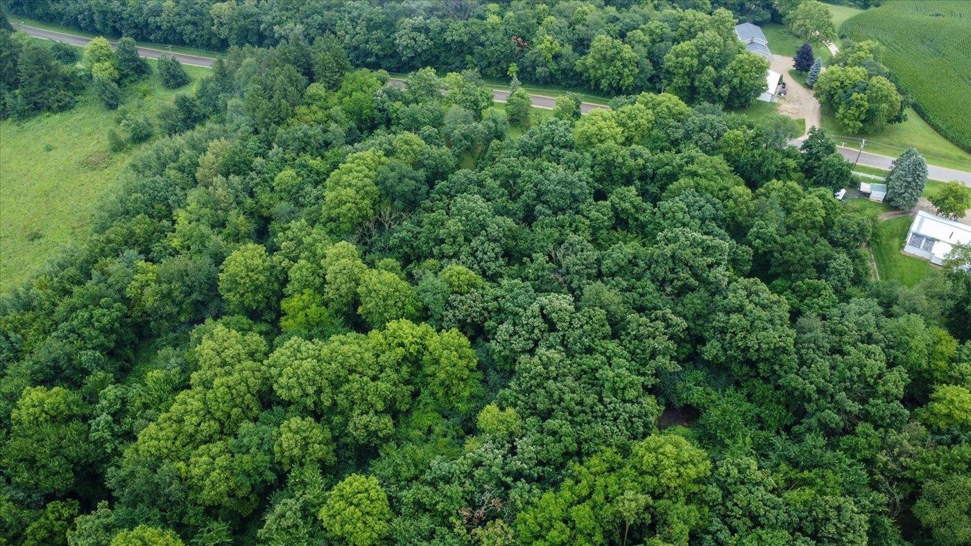 0 Patton Road Dane, WI 53529 - Photo 7 of 14