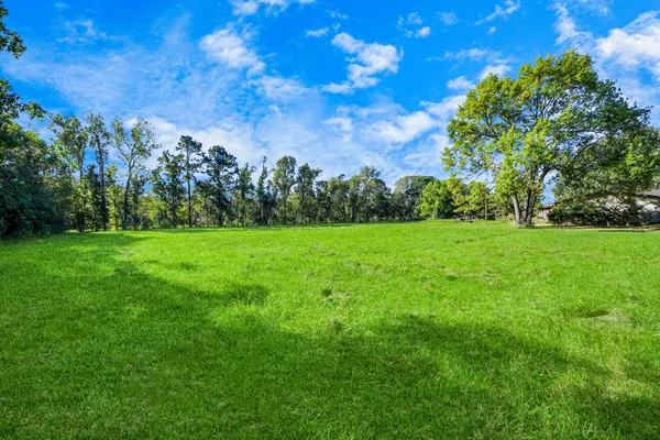 a view of a grassy field with trees in the background