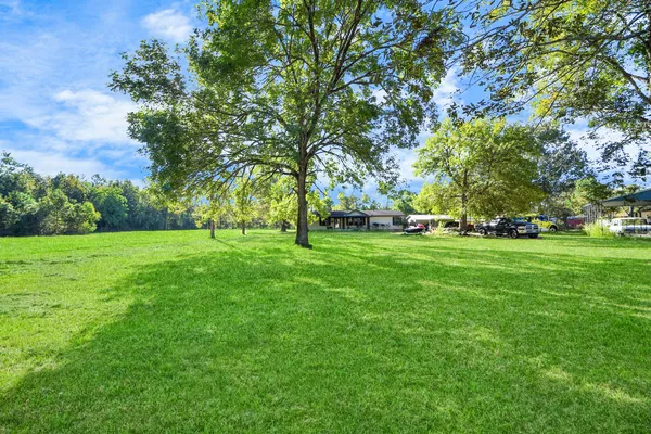 a view of grassy field with benches and trees all around