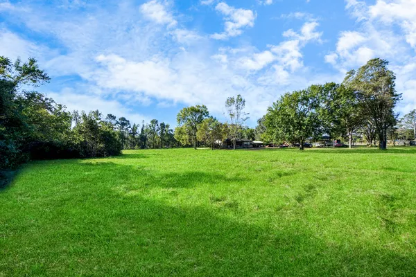 a view of yard with green space