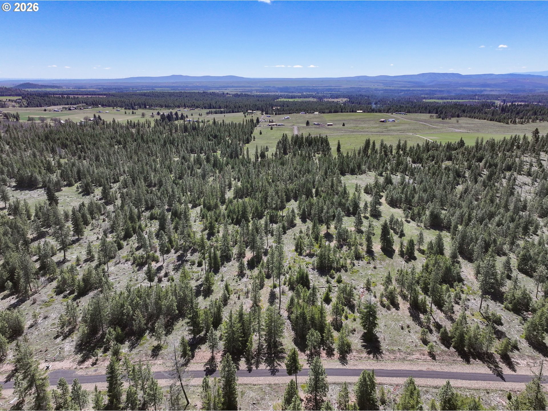 Ginger Way, Unit 4 Goldendale, WA 98620 - Photo 1 of 11 a view of a lush green forest