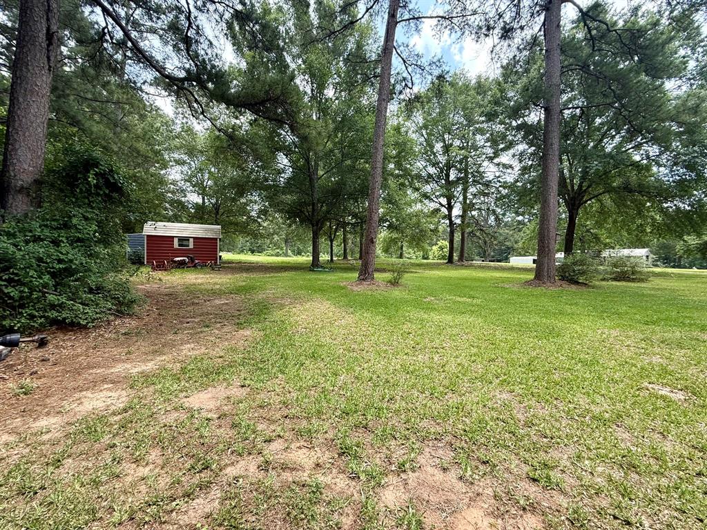 11535 Timber Ridge Drive Keithville, LA 71047 - Photo 35 of 39 a view of a big yard with plants and large trees