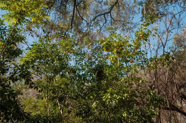 $350,000 | 16970 Northeast 120th Avenue, Waldo, FL 32694