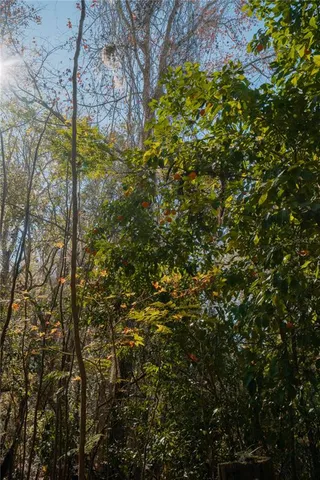 $350,000 | 16970 Northeast 120th Avenue, Waldo, FL 32694