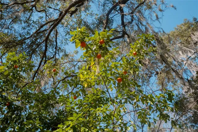 $350,000 | 16970 Northeast 120th Avenue, Waldo, FL 32694