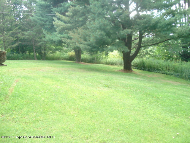 339 Maple Lake Road Moscow, PA 18444 - Photo 3 of 21 a view of a yard with a tree