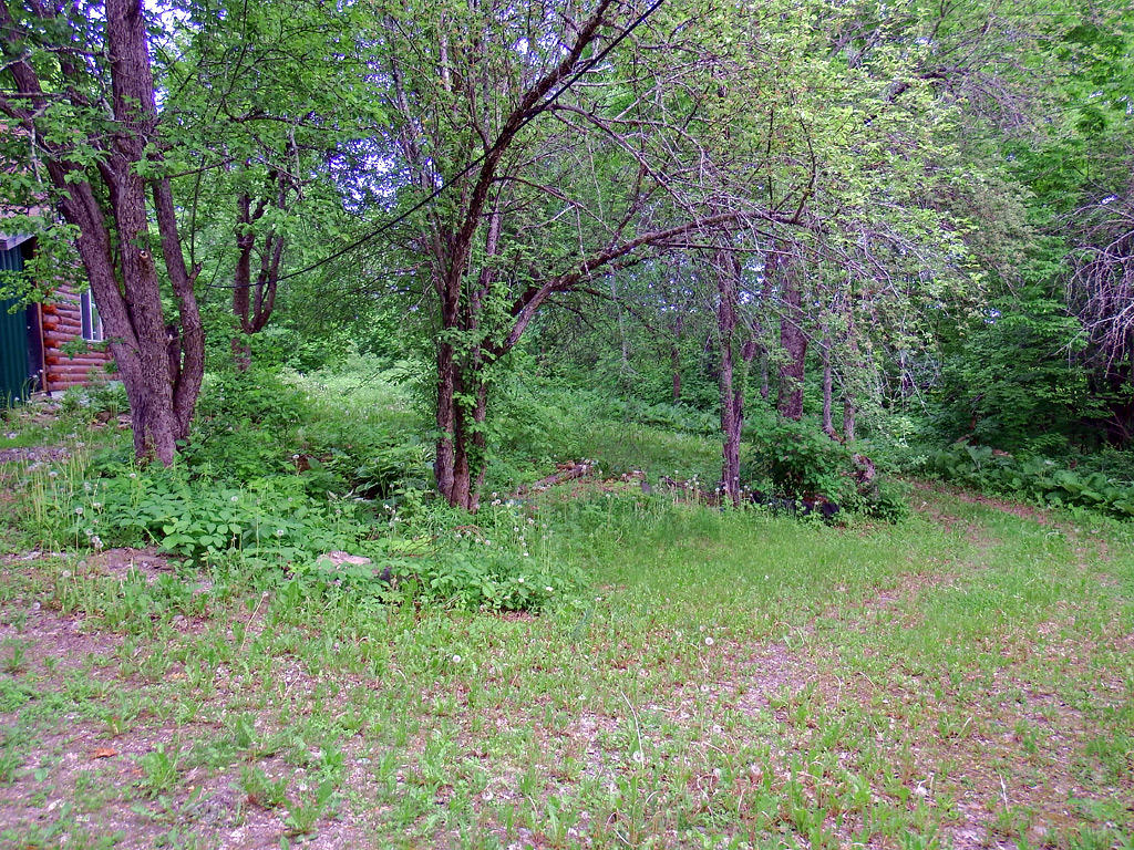 505 Jackins Settlement Road Hodgdon, ME 04730 - Photo 27 of 33 land-505-jackins-rd