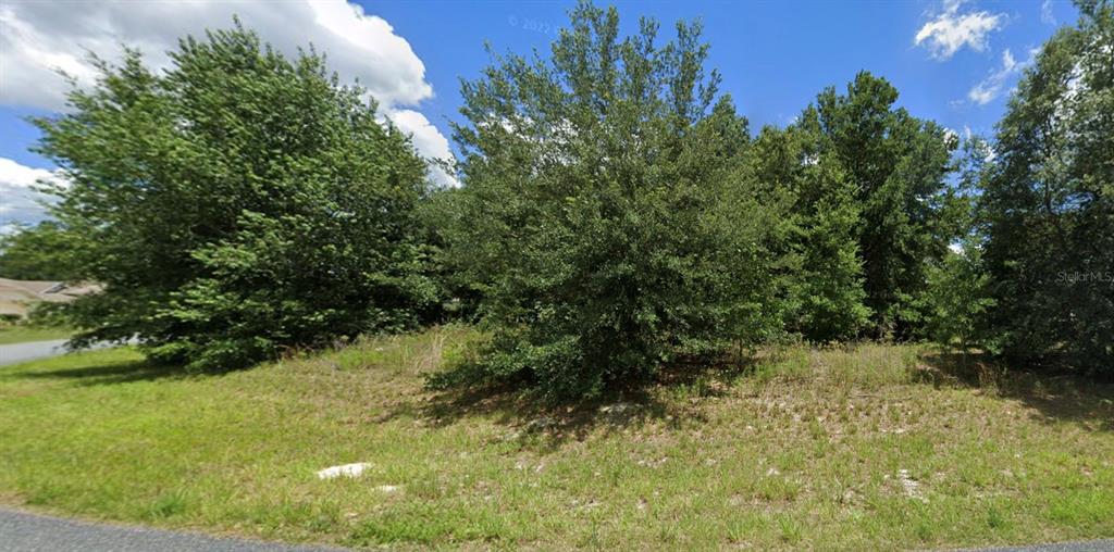 Southwest 128th St Road Ocala, FL 34473 - Photo 4 of 4 Gallery Image 4