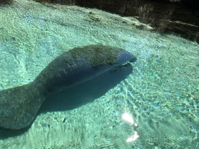 $199,900 | 6394 Richard Drive, Weeki Wachee, FL 34607