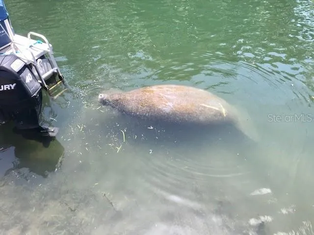 $199,900 | 6394 Richard Drive, Weeki Wachee, FL 34607