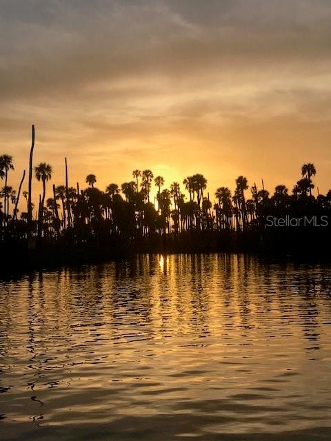 6394 Richard Drive Weeki Wachee, FL 34607 - Photo 19 of 19