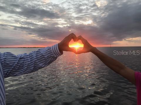 6394 Richard Drive Weeki Wachee, FL 34607 - Photo 4 of 19