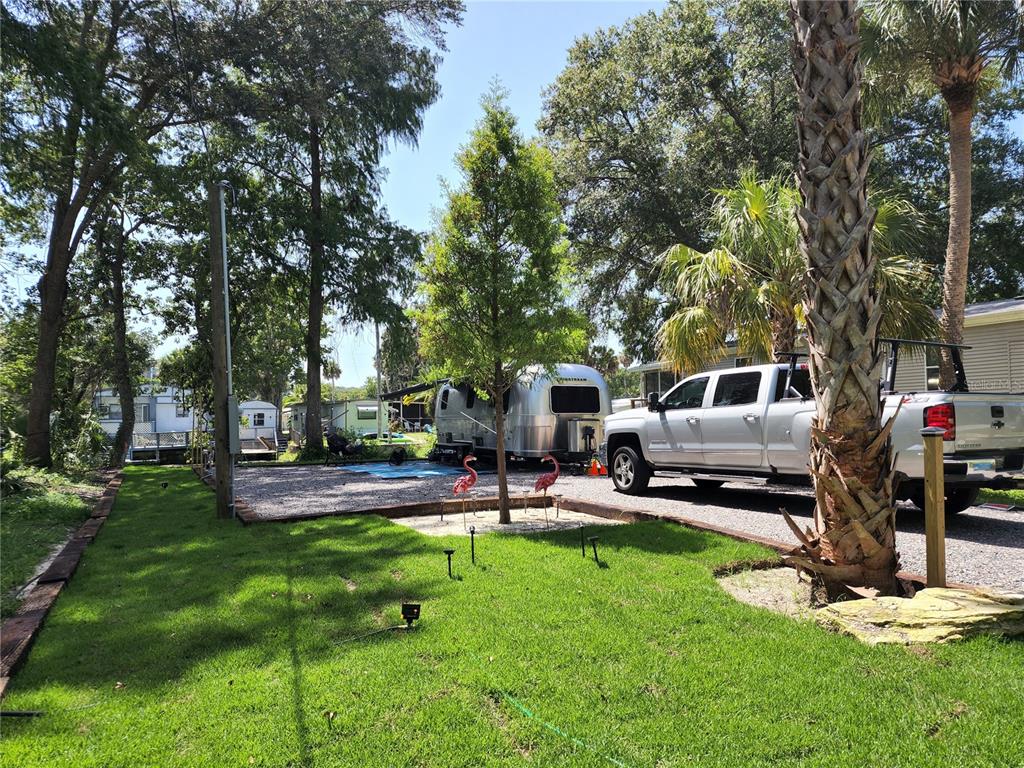 6394 Richard Drive Weeki Wachee, FL 34607 - Photo 9 of 19