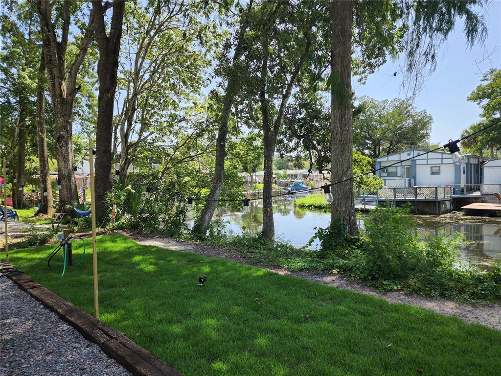 6394 Richard Drive Weeki Wachee, FL 34607 - Photo 10 of 19