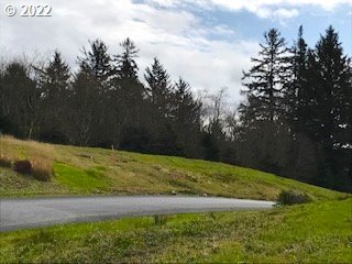 Braeridge Drive, Unit 10 Nehalem, OR 97131 - Photo 15 of 26 a view of a yard